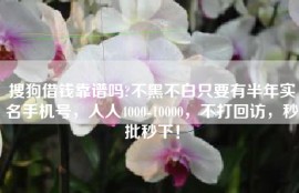 搜狗借钱靠谱吗?不黑不白只要有半年实名手机号，人人4000-10000，不打回访，秒批秒下！
