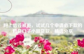 网上借钱被拒，试试几个申请必下款的网贷口子小额贷款，精选分享
