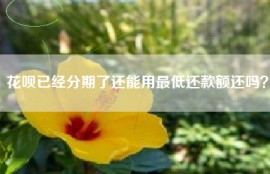 花呗已经分期了还能用最低还款额还吗？