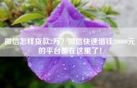 微信怎样贷款2万？微信快速借钱20000元的平台都在这里了！