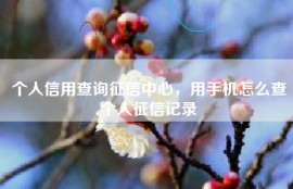 个人信用查询征信中心，用手机怎么查个人征信记录