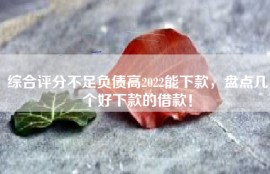 综合评分不足负债高2022能下款，盘点几个好下款的借款！