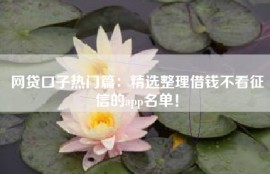网贷口子热门篇：精选整理借钱不看征信的app名单！