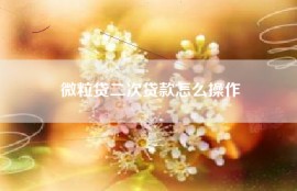 微粒贷二次贷款怎么操作