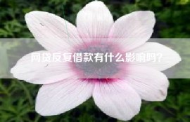 网贷反复借款有什么影响吗？