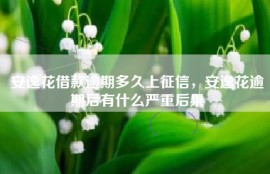 安逸花借款逾期多久上征信，安逸花逾期后有什么严重后果