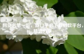 网贷名单一览，新口子必下款借款平台，精选分享
