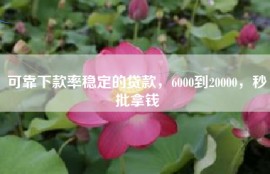 可靠下款率稳定的贷款，6000到20000，秒批拿钱