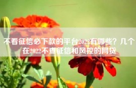 不看征信必下款的平台2022有哪些？几个在2022不查征信和风控的网贷