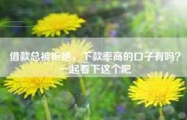 借款总被拒绝，下款率高的口子有吗？一起看下这个吧