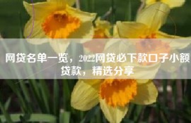 网贷名单一览，2022网贷必下款口子小额贷款，精选分享