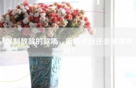 强制放款的款项，原路退回还会被催收吗？