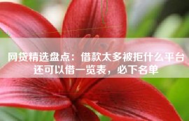 网贷精选盘点：借款太多被拒什么平台还可以借一览表，必下名单