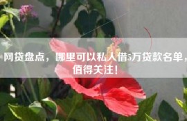 网贷盘点，哪里可以私人借5万贷款名单，值得关注！