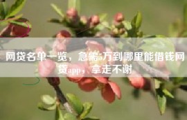 网贷名单一览，急需5万到哪里能借钱网贷app，拿走不谢