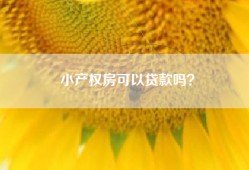 小产权房可以贷款吗？