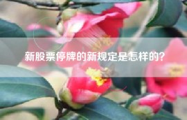 新股票停牌的新规定是怎样的？