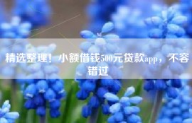 精选整理！小额借钱500元贷款app，不容错过