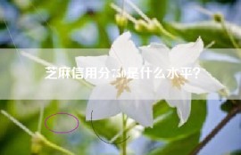芝麻信用分750是什么水平？