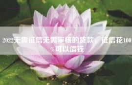 2022无需征信无需审核的贷款，征信花100%可以借钱