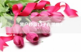 黑户秒贷口子有哪些？
