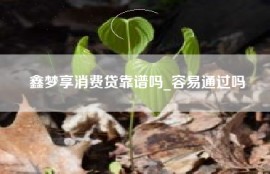 鑫梦享消费贷靠谱吗_容易通过吗
