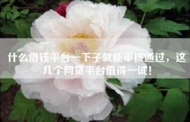 什么借钱平台一下子就能审核通过，这几个网贷平台值得一试！