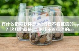 有什么借款软件是2022借钱不看征信的app？这几个就是2022借钱不看征信的app