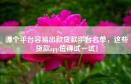 哪个平台容易出款贷款平台名单，这些贷款app值得试一试！