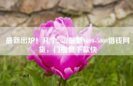 最新出炉！几个2022最新1000-5000借钱网贷，门槛低下款快