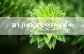 满十八就能贷款的平台有哪些?