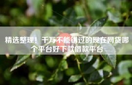 精选整理！千万不能错过的现在网贷哪个平台好下款借款平台