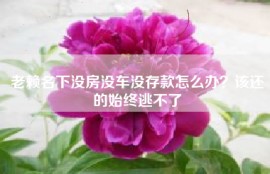 老赖名下没房没车没存款怎么办？该还的始终逃不了