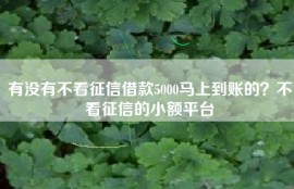 有没有不看征信借款5000马上到账的？不看征信的小额平台