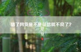 借了网贷是不是征信就不良了？