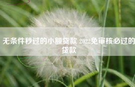 无条件秒过的小额贷款 2022免审核必过的贷款