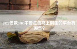2022借款5000不看征信马上到账的平台有哪些？
