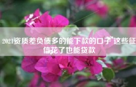 2021资质差负债多的能下款的口子 这些征信花了也能贷款