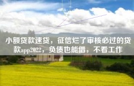 小额贷款速贷，征信烂了审核必过的贷款app2022，负债也能借，不看工作