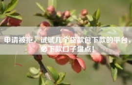申请被拒，试试几个贷款包下款的平台，必下款口子盘点！