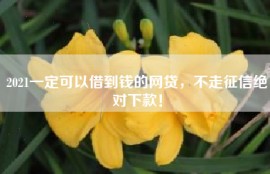 2021一定可以借到钱的网贷，不走征信绝对下款！