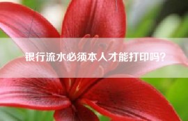 银行流水必须本人才能打印吗？