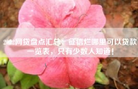 2022网贷盘点汇总：征信烂哪里可以贷款一览表，只有少数人知道！