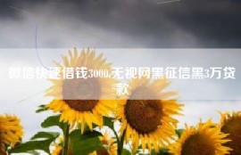 微信快速借钱3000,无视网黑征信黑3万贷款