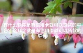 有什么软件是有信用卡就可以贷款的平台？这几个就是有信用卡就可以贷款的平台