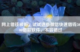 网上借钱被拒，试试这些微信快速借钱5000借款软件，不容错过