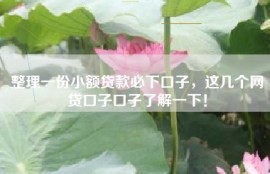 整理一份小额贷款必下口子，这几个网贷口子口子了解一下！