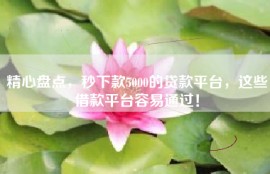 精心盘点，秒下款5000的贷款平台，这些借款平台容易通过！