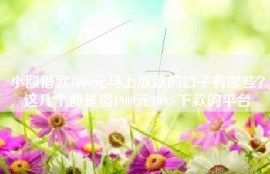 小额借款1000元马上放款的口子有哪些？这几个都是借1000元100%下款的平台