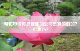 帮忙申请停息挂账的公司是真的假的？可靠吗？